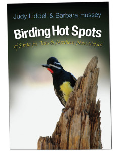 Birding Hot Spots