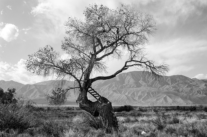 Desolation, metal print, silver matte finish, by Tierney Weinman